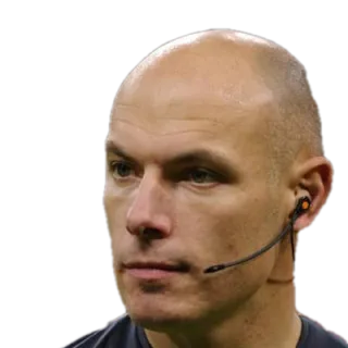 Portrait of Neil Webb